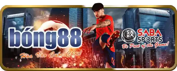 Quản lý tùy chọn Cookie và quyền riêng tư